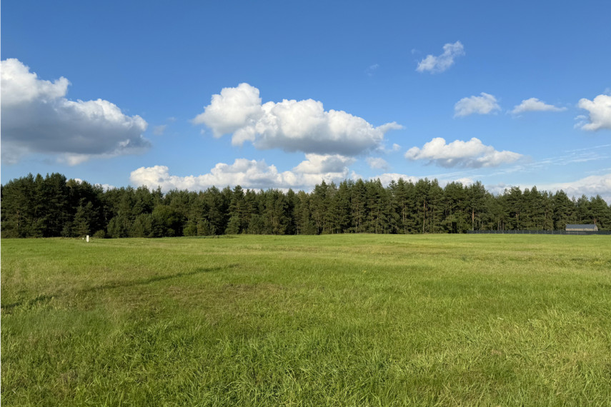 Parduodami namų valdos sklypai Liepynų kaime, Paluknio sen., Trakų r. 15