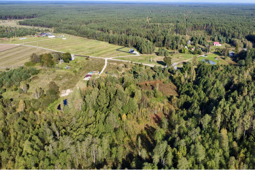 Parduodami namų valdos sklypai Liepynų kaime, Paluknio sen., Trakų r. 18