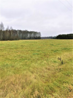 Parduodamas sklypas Šeimyniškių k., 376 a ploto 8