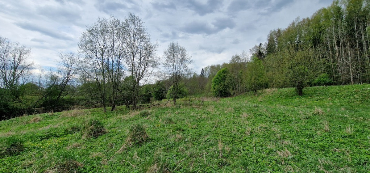 Parduodamas  sklypas Godlaukio k., Raseinių r. sav., 190 a ploto 3