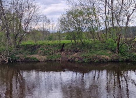 Parduodamas  sklypas Godlaukio k., Raseinių r. sav., 190 a ploto