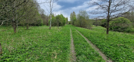 Parduodamas  sklypas Godlaukio k., Raseinių r. sav., 190 a ploto 15