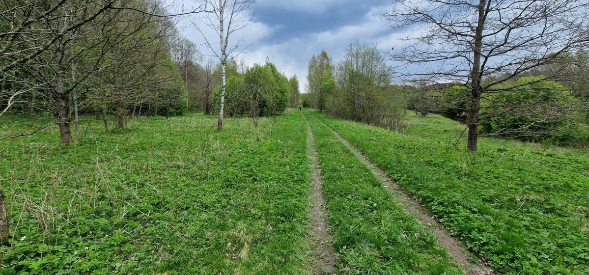 Parduodamas  sklypas Godlaukio k., Raseinių r. sav., 190 a ploto 5