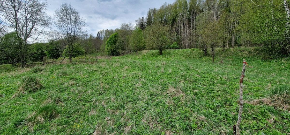 Parduodamas  sklypas Godlaukio k., Raseinių r. sav., 190 a ploto 17