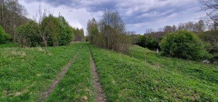 Parduodamas  sklypas Godlaukio k., Raseinių r. sav., 190 a ploto 19