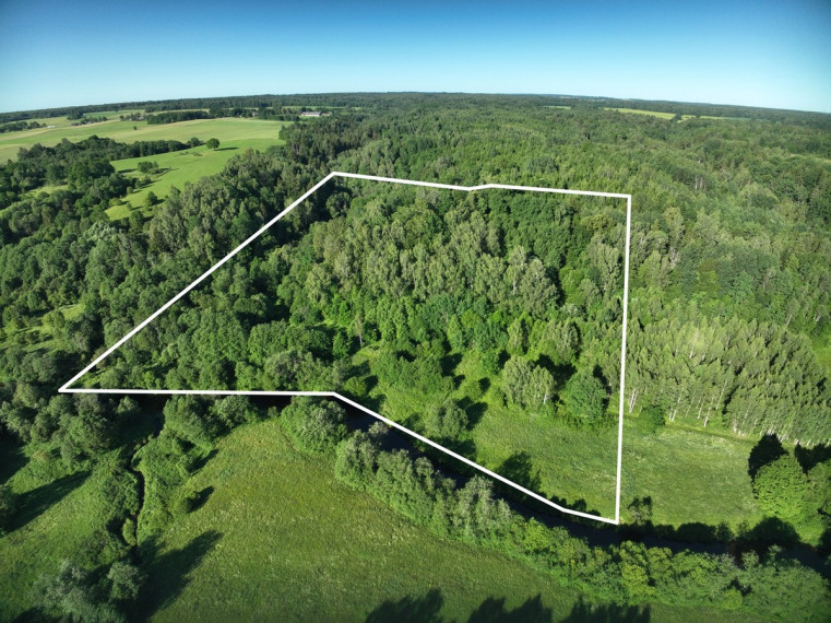 Parduodamas  sklypas Godlaukio k., Raseinių r. sav., 190 a ploto 1