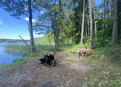 Parduodama miško paskirties žemė šalia Drabužio ežero, Trakų r., Lausgenių k., 3,15 ha ploto