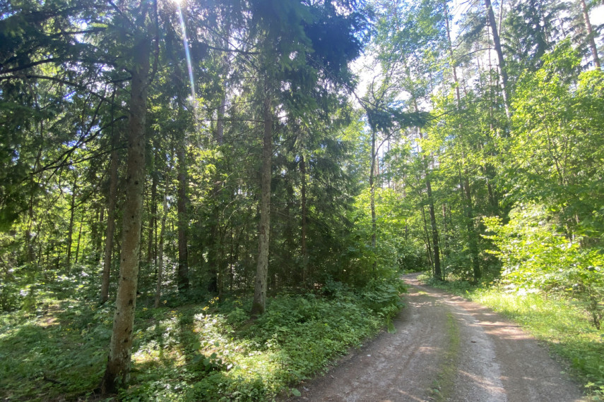 Parduodama miško paskirties žemė šalia Drabužio ežero, Trakų r., Lausgenių k. 3