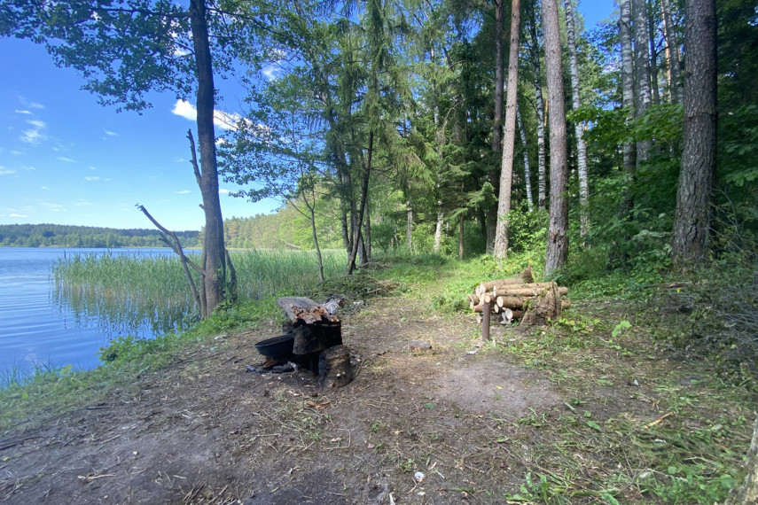 Parduodama miško paskirties žemė šalia Drabužio ežero, Trakų r., Lausgenių k. 6