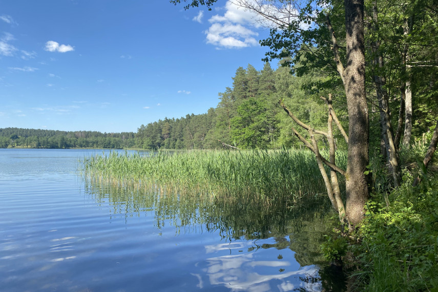 Parduodama miško paskirties žemė šalia Drabužio ežero, Trakų r., Lausgenių k. 4