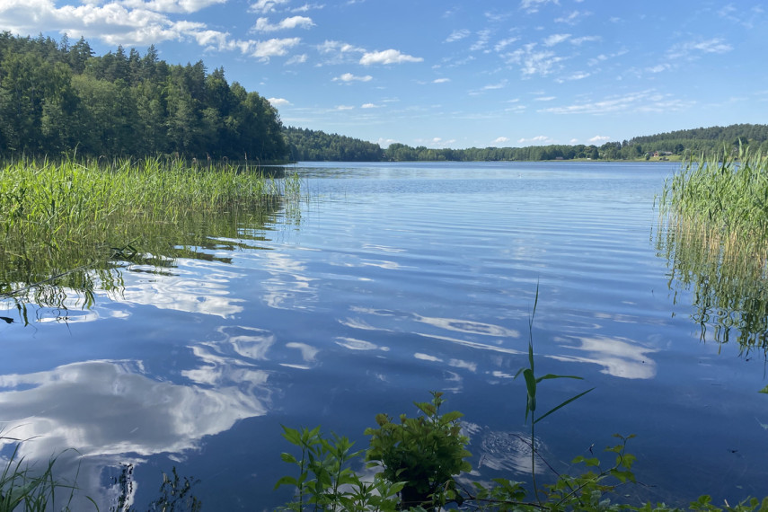 Parduodama miško paskirties žemė šalia Drabužio ežero, Trakų r., Lausgenių k. 5