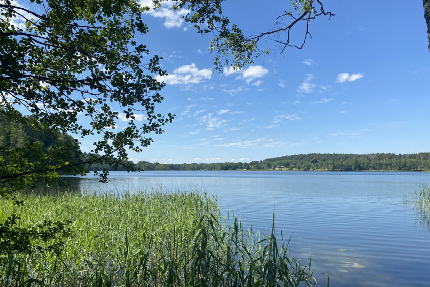 Parduodama miško paskirties žemė šalia Drabužio ežero, Trakų r., Lausgenių k. 6