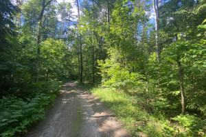 Parduodama miško paskirties žemė šalia Drabužio ežero, Trakų r., Lausgenių k. 10