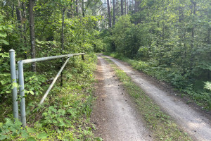 Parduodama miško paskirties žemė šalia Drabužio ežero, Trakų r., Lausgenių k. 11