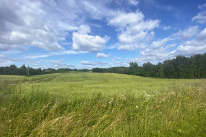 Parduodamas 1,9622 ha ploto sklypas ūkininko sodybai Trakų r., Padvariškių k. 13
