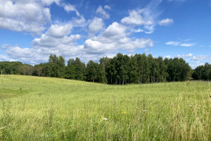 Parduodamas 1,9622 ha ploto sklypas ūkininko sodybai Trakų r., Padvariškių k. 14