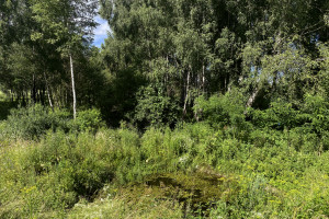 Parduodamas 1,9622 ha ploto sklypas ūkininko sodybai Trakų r., Padvariškių k. 16