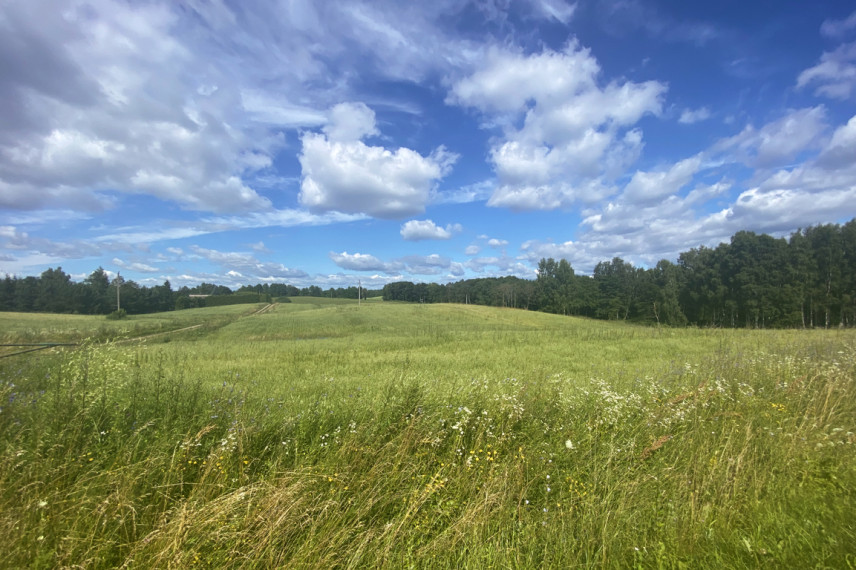 Parduodamas 1,9622 ha ploto sklypas ūkininko sodybai Trakų r., Padvariškių k. 13