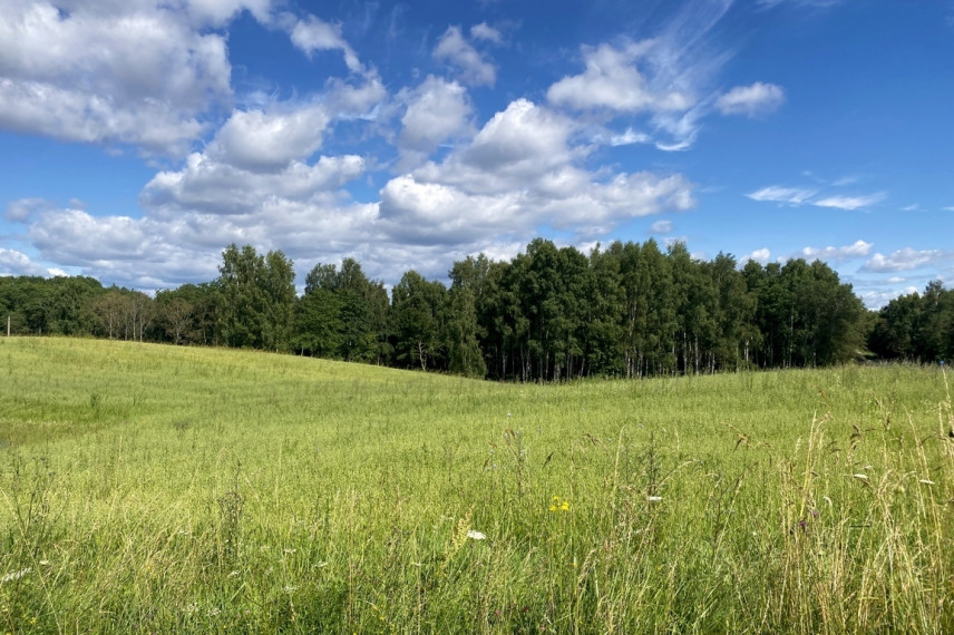 Parduodamas 1,9622 ha ploto sklypas ūkininko sodybai Trakų r., Padvariškių k. 14