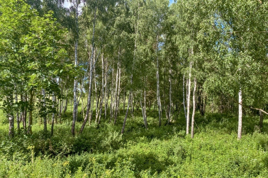 Parduodamas 1,9622 ha ploto sklypas ūkininko sodybai Trakų r., Padvariškių k. 18