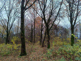 Parduodamas sklypas Kyviškių k., 530 a ploto 1