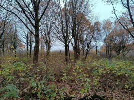 Parduodamas sklypas Kyviškių k., 530 a ploto 2