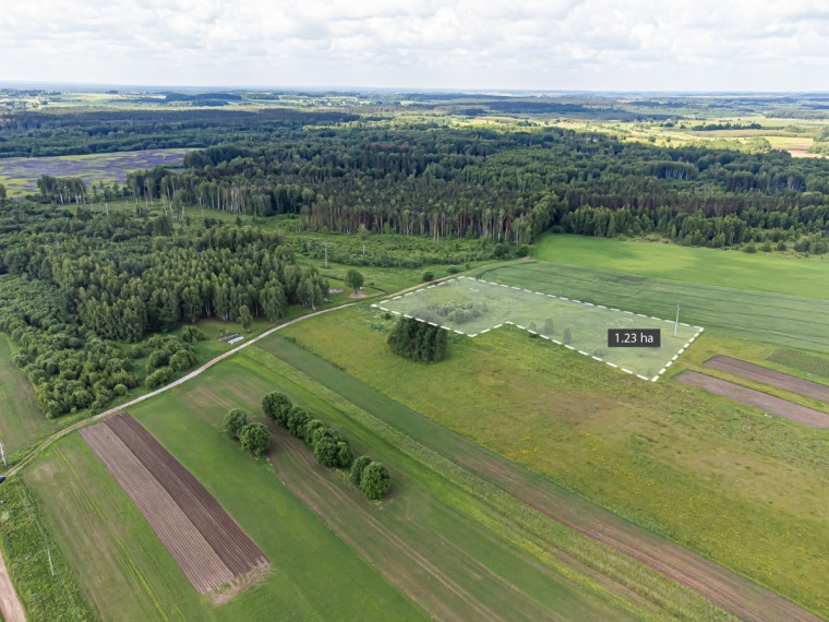 Parduodamas sklypas Blusinės k., Vilniaus r. sav., 123 a ploto 4