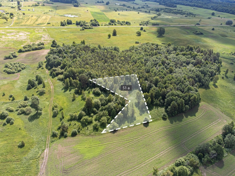Parduodamas sklypas Vitašių k., Vilniaus r. sav., 51 a ploto 2