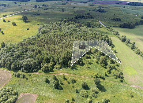 Parduodamas  sklypas Vitašių k., Vilniaus r. sav., 51 a ploto