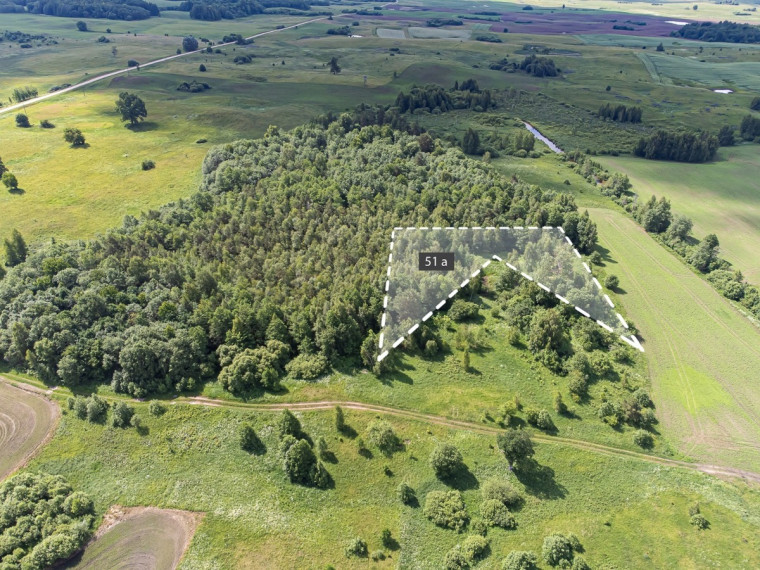 Parduodamas sklypas Vitašių k., Vilniaus r. sav., 51 a ploto 1