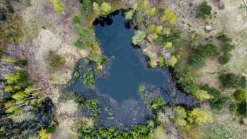 Parduodamas namas Sausalaukės, Sausalaukės k., Anykščių r. sav., 53.87 m2 ploto, 1 aukštai 2