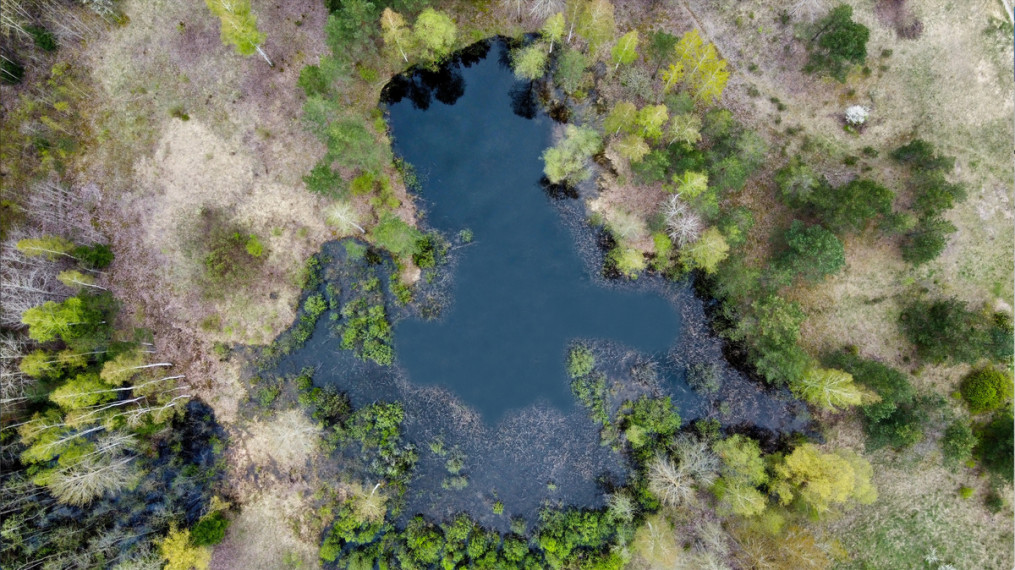 Parduodamas namas Sausalaukės, Sausalaukės k., Anykščių r. sav., 53.87 m2 ploto, 1 aukštai 2