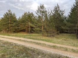 Parduodamas namas Sausalaukės, Sausalaukės k., Anykščių r. sav., 53.87 m2 ploto, 1 aukštai 16