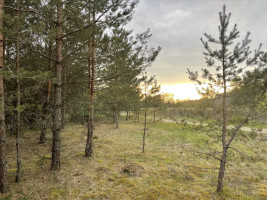 Parduodamas namas Sausalaukės, Sausalaukės k., Anykščių r. sav., 53.87 m2 ploto, 1 aukštai 18