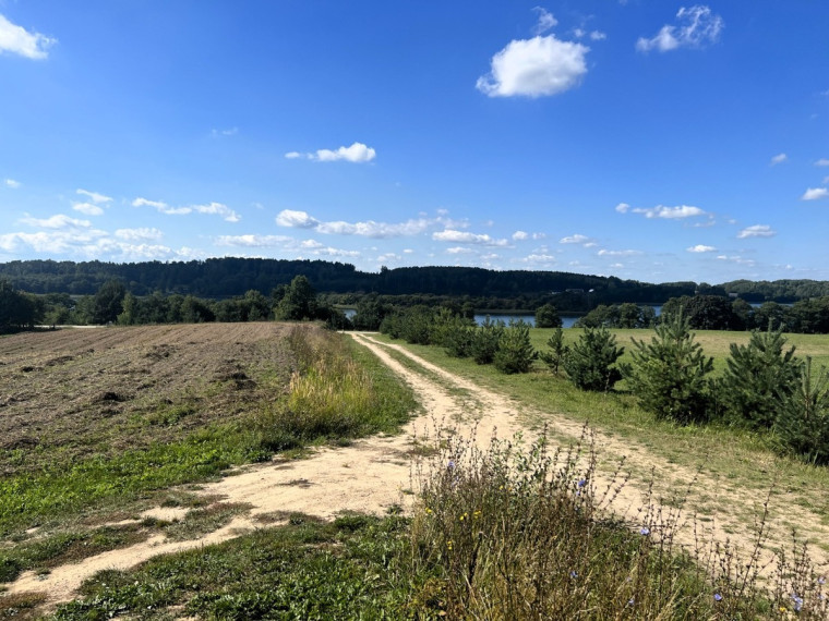 Parduodamas sklypas Galadusio g., Beviršių k., Lazdijų r. sav., 73.24 a ploto 4