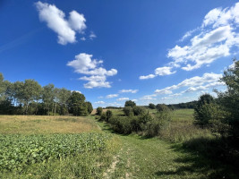 Parduodamas  sklypas Galadusio g., Beviršių k., Lazdijų r. sav., 73.24 a ploto 5
