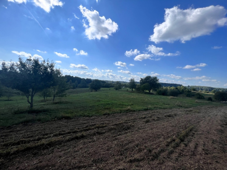 Parduodamas  sklypas Galadusio g., Beviršių k., Lazdijų r. sav., 73.24 a ploto 8