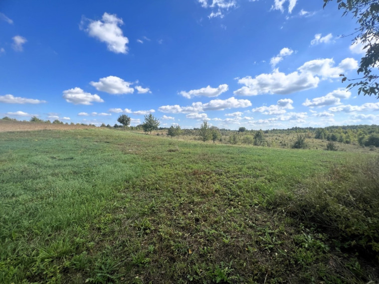 Parduodamas  sklypas Galadusio g., Beviršių k., Lazdijų r. sav., 73.24 a ploto 9