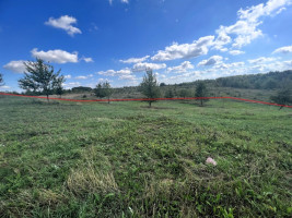Parduodamas  sklypas Galadusio g., Beviršių k., Lazdijų r. sav., 73.24 a ploto 13