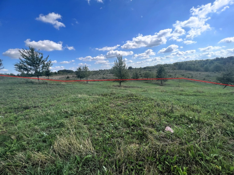 Parduodamas  sklypas Galadusio g., Beviršių k., Lazdijų r. sav., 73.24 a ploto 13