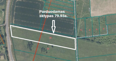 Parduodamas kitos paskirties sklypas Kalno, Rokelių k., Kauno r. sav., 79.93 a ploto 7