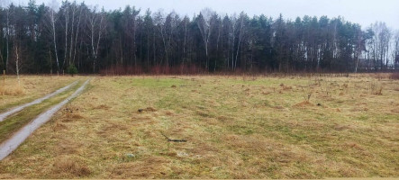 Parduodamas sklypas Ąžuolijų vs., 36 a ploto 2
