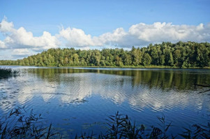 Parduodamas sklypas Antilgės k., Utenos r. sav., 174.46 a ploto 2