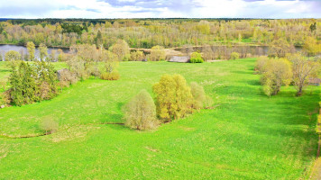 Parduodamas sklypas Antilgės k., Utenos r. sav., 174.46 a ploto 4