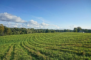 Parduodamas sklypas Antilgės k., Utenos r. sav., 174.46 a ploto 9