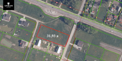 Parduodamas sklypas Viduklės g., Raseiniuose, 31.93 a ploto 18