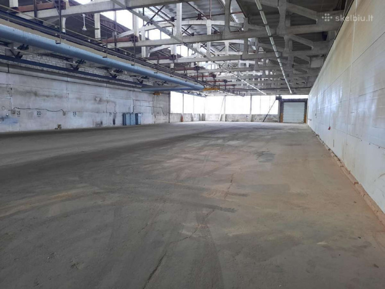 Nuomojamos gamybinės, kitos paskirties, sandėliavimo patalpos Gamyklų g., Degučiai, Marijampolės m., Marijampolės sav., 4200 m2 ploto 4