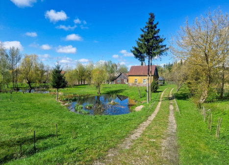 Parduodamas namas Pasvalio g., Biržų m., Biržų r. sav., 66.03 m2 ploto, 1 aukštai Parduodamas namas Pasvalio g., Biržų m., Biržų r. sav., 66.03 m2 ploto, 1 aukštai