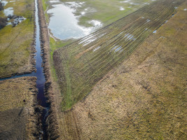 Parduodamas  sklypas Užpelkių k., Kretingos r. sav., 60.5 a ploto 6