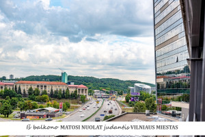 Nuomojamas butas Fabijoniškių g., Fabijoniškės, Vilniaus m., Vilniaus m. sav., 68 m2 ploto, 2 kambariai 15